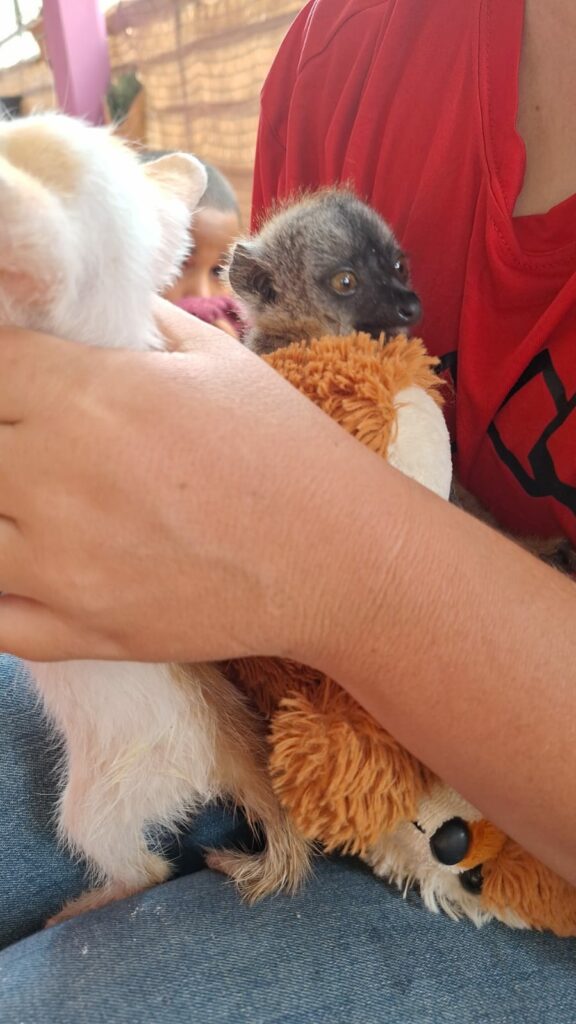 PHOTO 2025 01 02 13 42 20