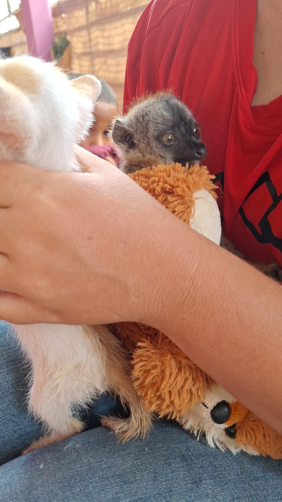 Agir pour préserver l’environnement après Chido