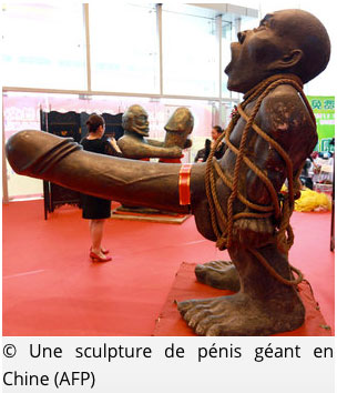 Vous saurez tout sur le zizi