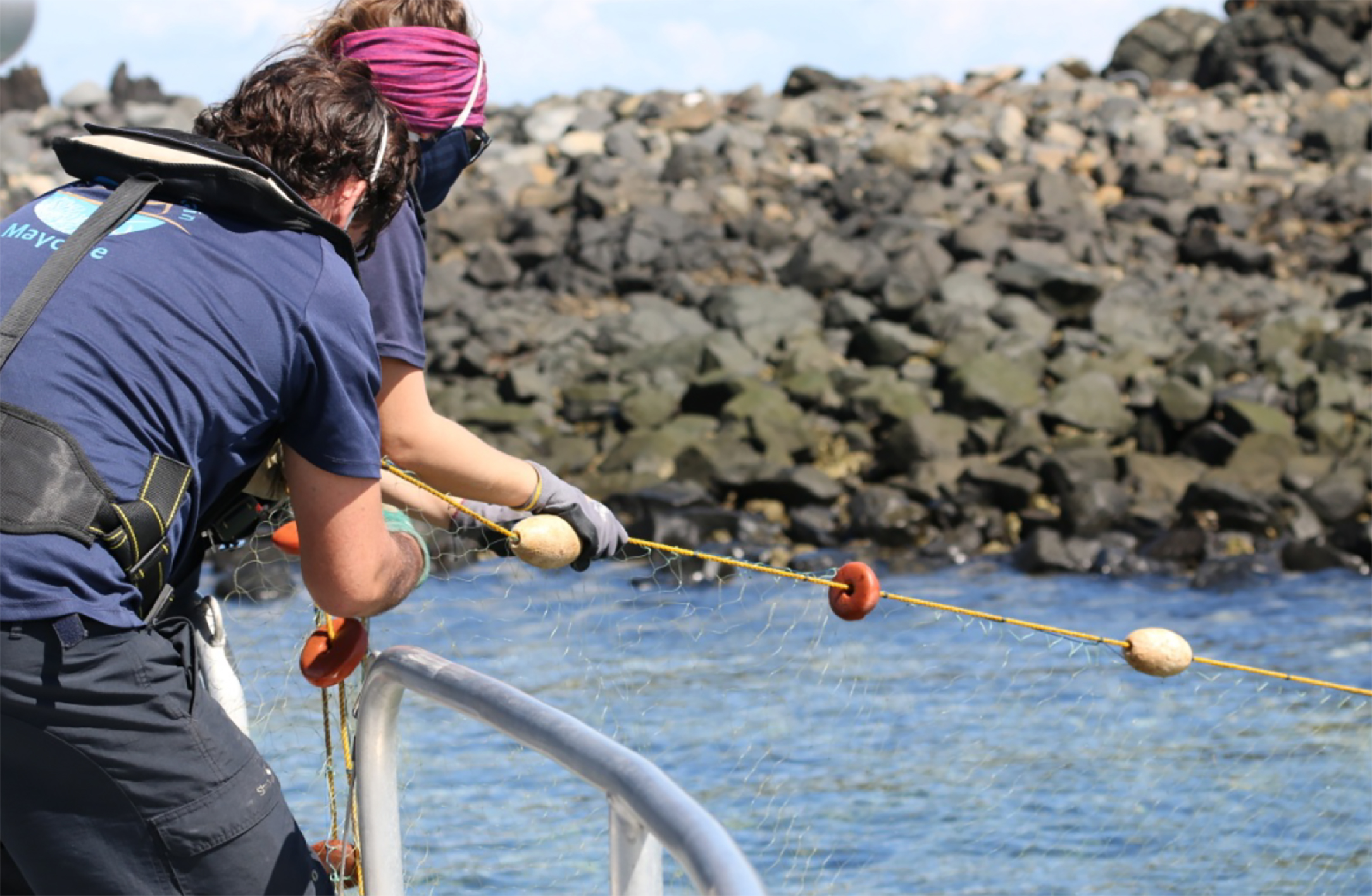 Le Parc Naturel Marin de Mayotte annonce son retour sur le lagon