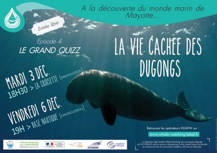 Le grand quizz des dugongs : un vrai succès pour le Parc Marin qui va renouveler l’exercice