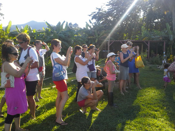 Concours de poneys à Hajangua