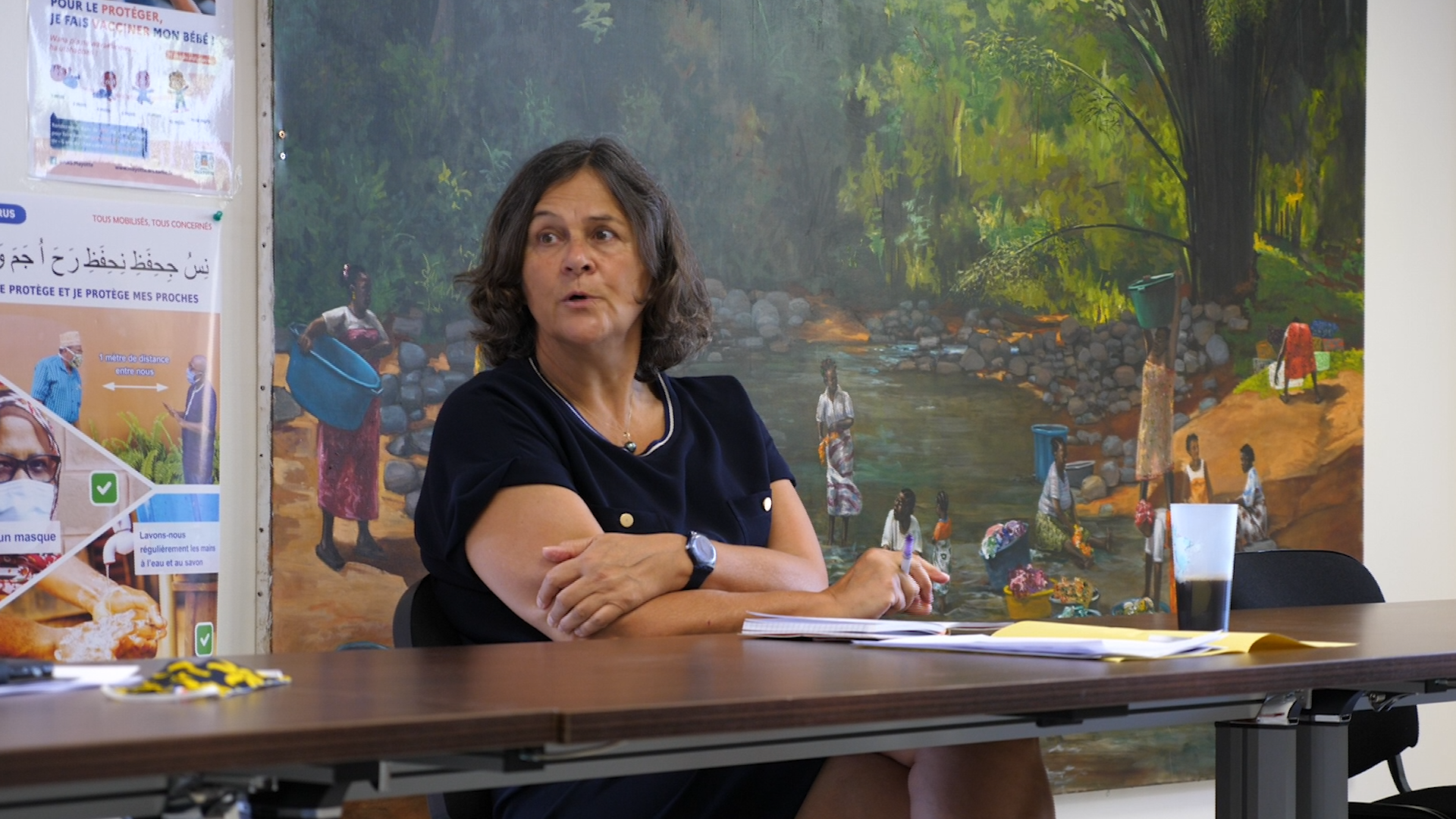 Dominique Voynet : “Nous avons été sollicités par les Comores”