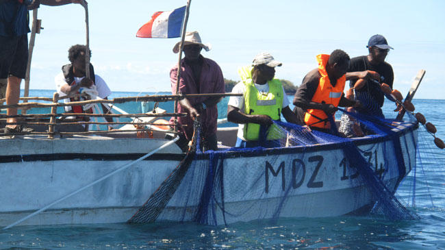 Formations aux obligations déclaratives en matière de pêche maritime