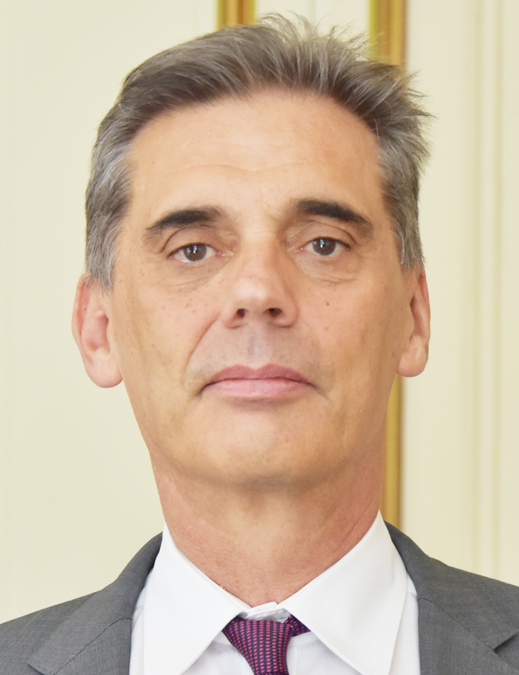 Curriculum vitae du Préfet de Mayotte, Délégué du Gouvernement