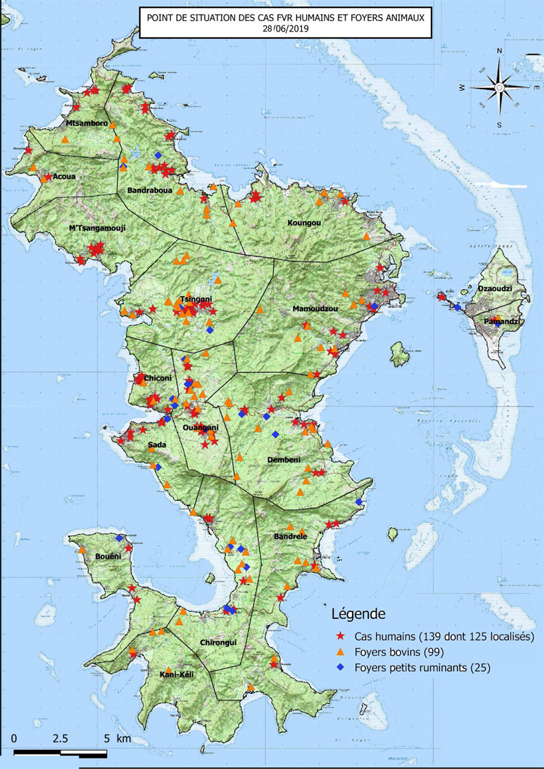 Fièvre de la Vallée du Rift à Mayotte : point de situation au 28 juin 2019