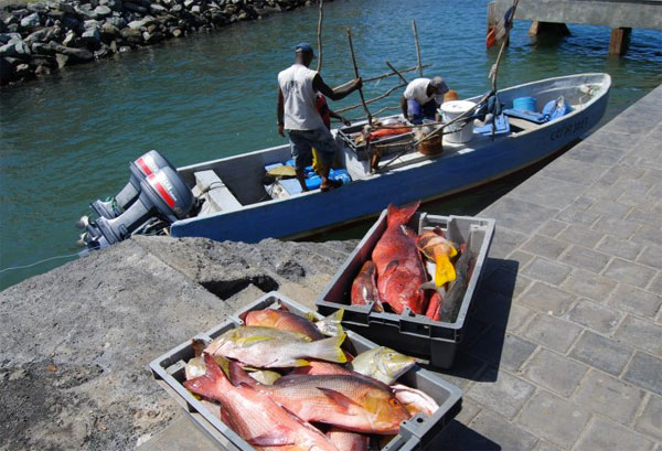 Une halle des pêcheurs à Mtsahara