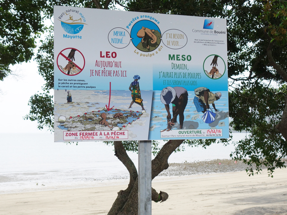 Du 1er avril au 15 juin : du répit pour les poulpes