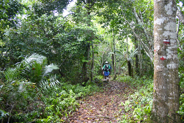 La ville de Pamandzi organise une randonnée découverte