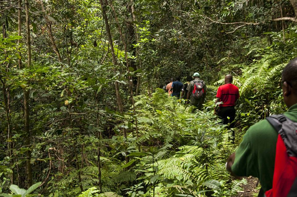 Sport Nature : une étude sur la randonnée à Mayotte lancée par le Conseil Départemental
