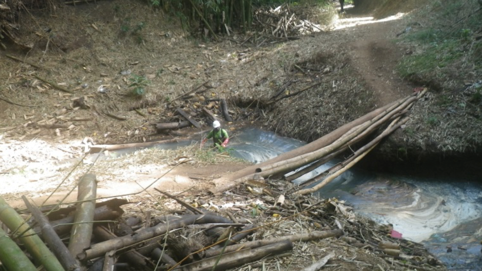 Le Conseil départemental lance un schéma d’entretien et de restauration des rivières de Mayotte