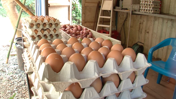 Concurrence déloyale