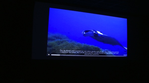 ATOLL, conclusions de la conférence raies manta