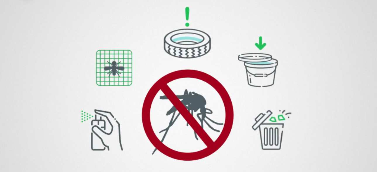 L’ARS alerte contre les moustiques et la dengue