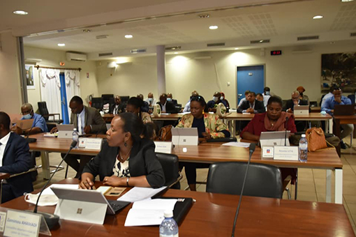 Une plénière et 7 nouveaux patrons de commissions thématiques au département