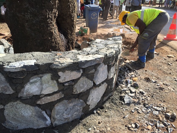 Ainsi va la vie à Tsoundzou…