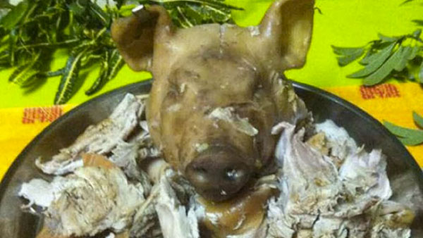 Affaire de la tête de cochon en appel