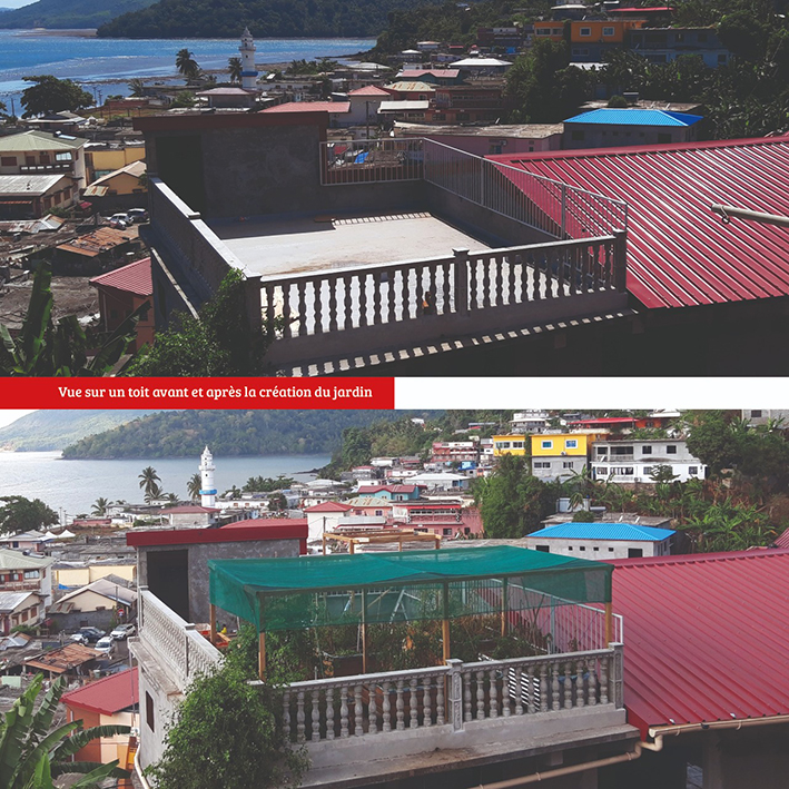 Le site “cultive ton toit” est en ligne