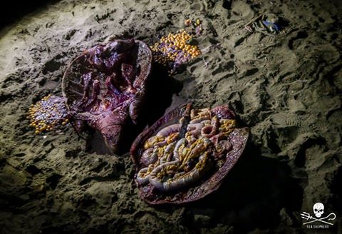 Opération Nyamba Mayotte : la patrouille attaquée à Moya