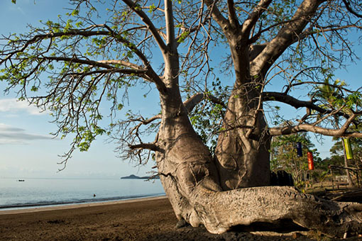 Une belle initiative locale pour relancer le tourisme en berne sur le département