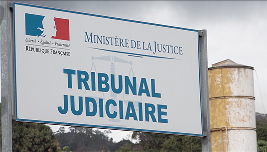 Tribunal 6