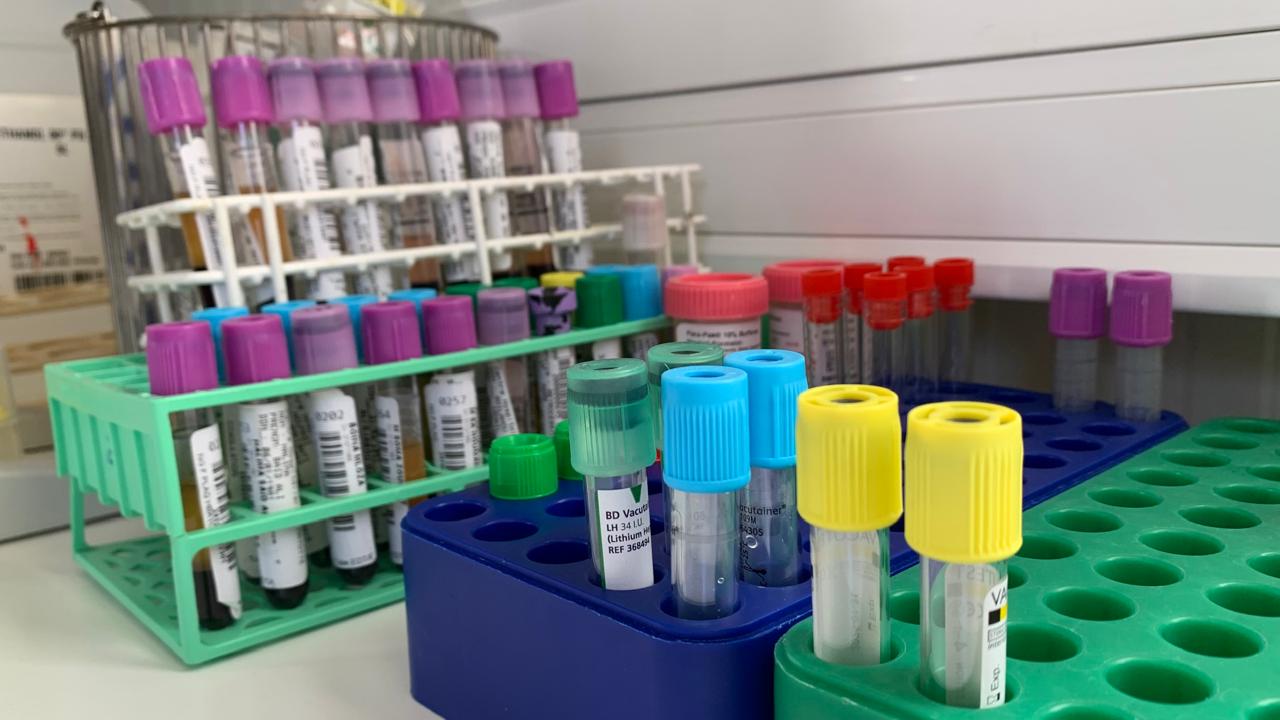 Le suivi des patients atteints de drépanocytose reprend indique le CHM