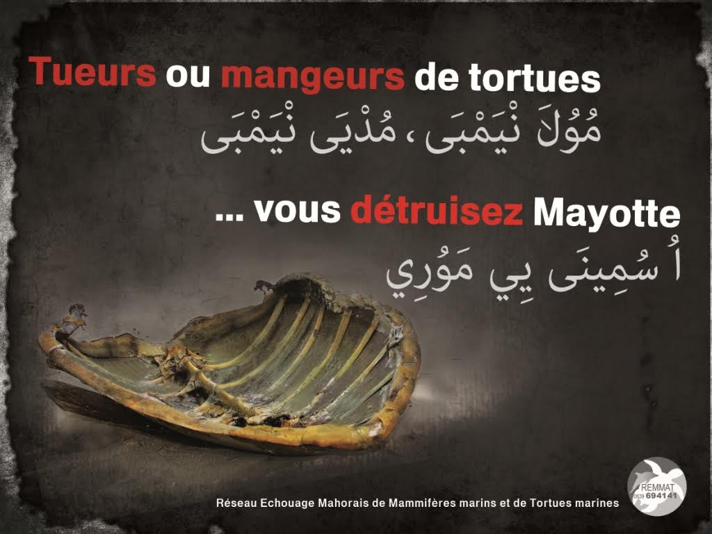 “Tueurs ou mangeurs de tortues vous détruisez Mayotte” – REMMAT