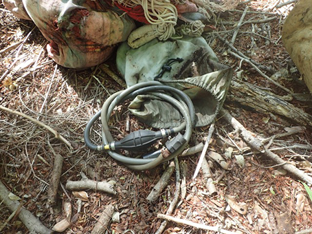 Des rats et des voleurs à l’ilot M’Bouzi