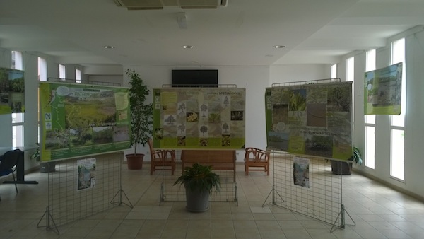 “A la découverte de nos mangroves”, une exposition au Comité du Tourisme