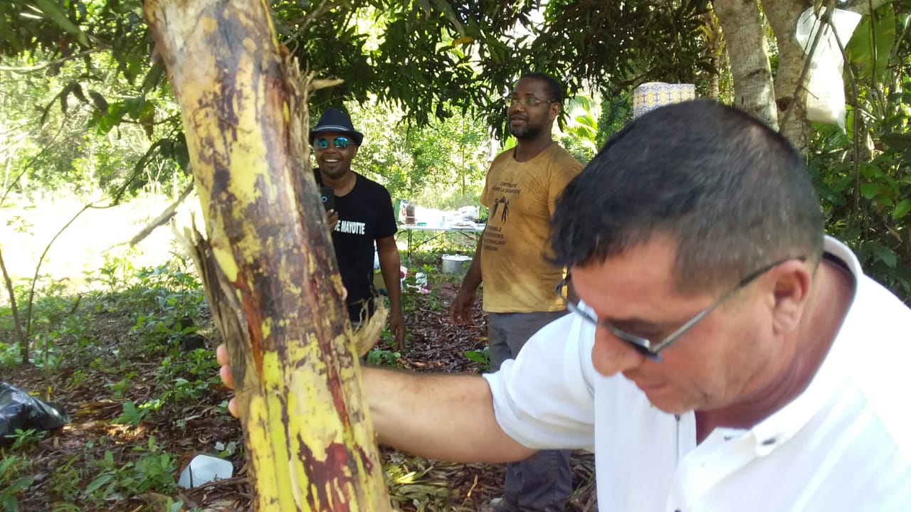 Msada de Vahibé : un grand mouvement de solidarité en cours (video)
