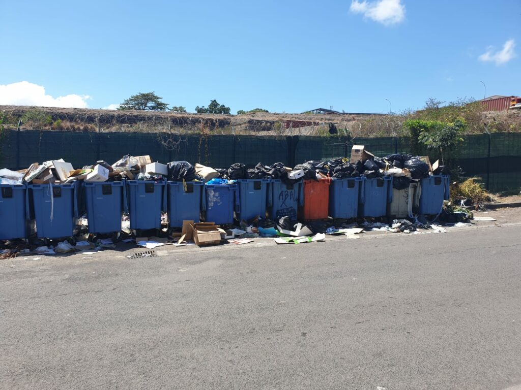 WhatsApp Image 2019 11 12 at 15.33.291