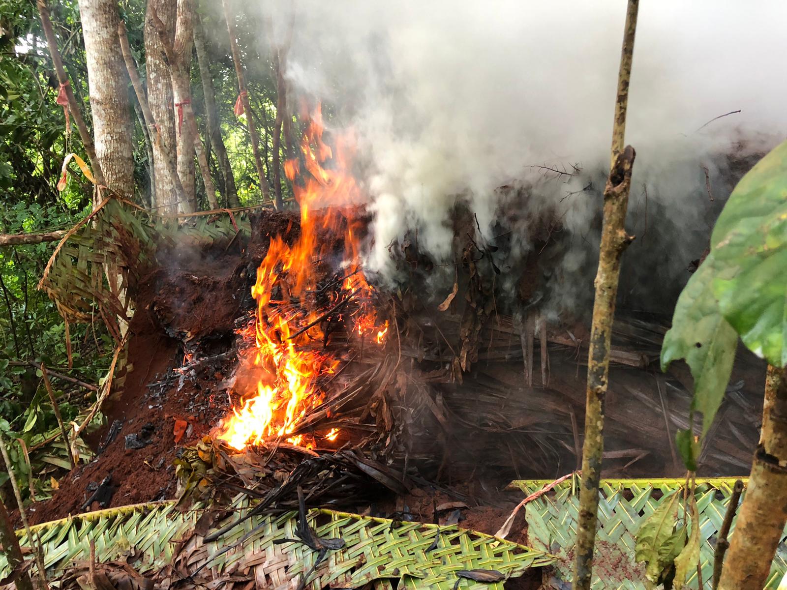 Protéger l’environnement et la biodiversité de Mayotte est une lutte de tous les instants