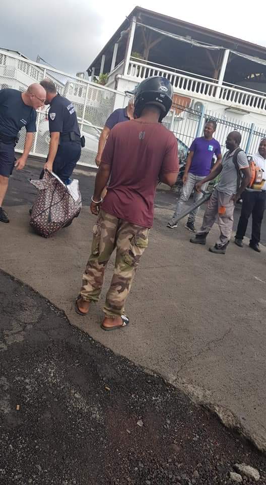 Le commerce de la viande de tortue : une si triste réalité