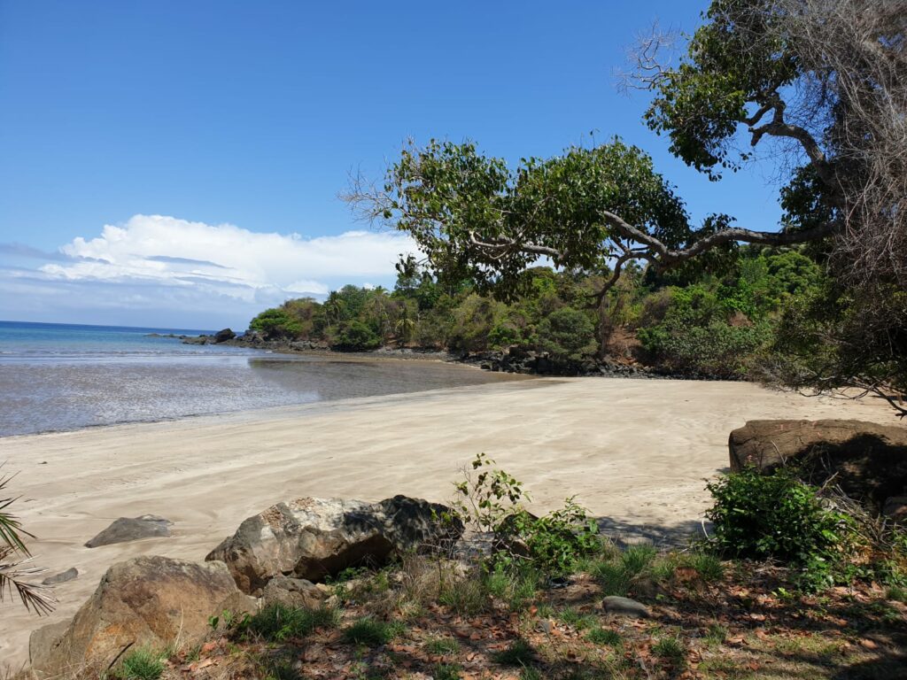 WhatsApp Image 2020 06 14 at 15.57.25