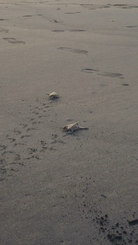 WhatsApp Image 2020 07 19 at 16.23.37