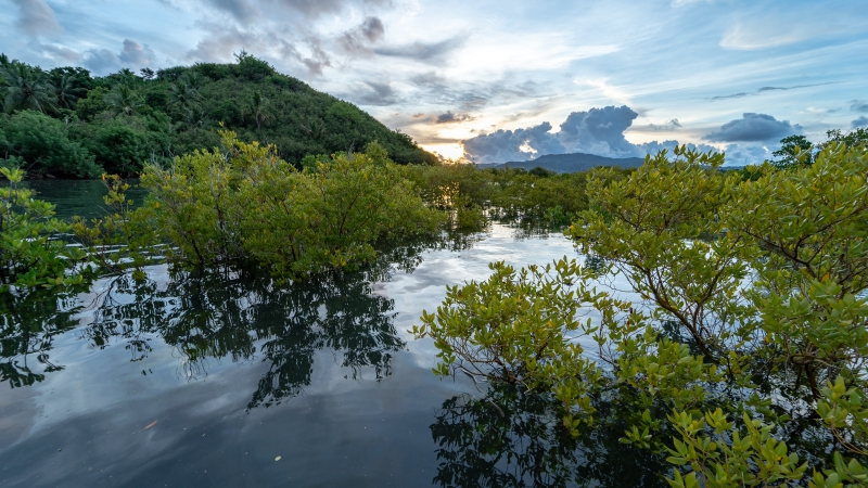 Le corps du jeune homme retrouvé sur la plage des Badamiers a enfin pu être identifié