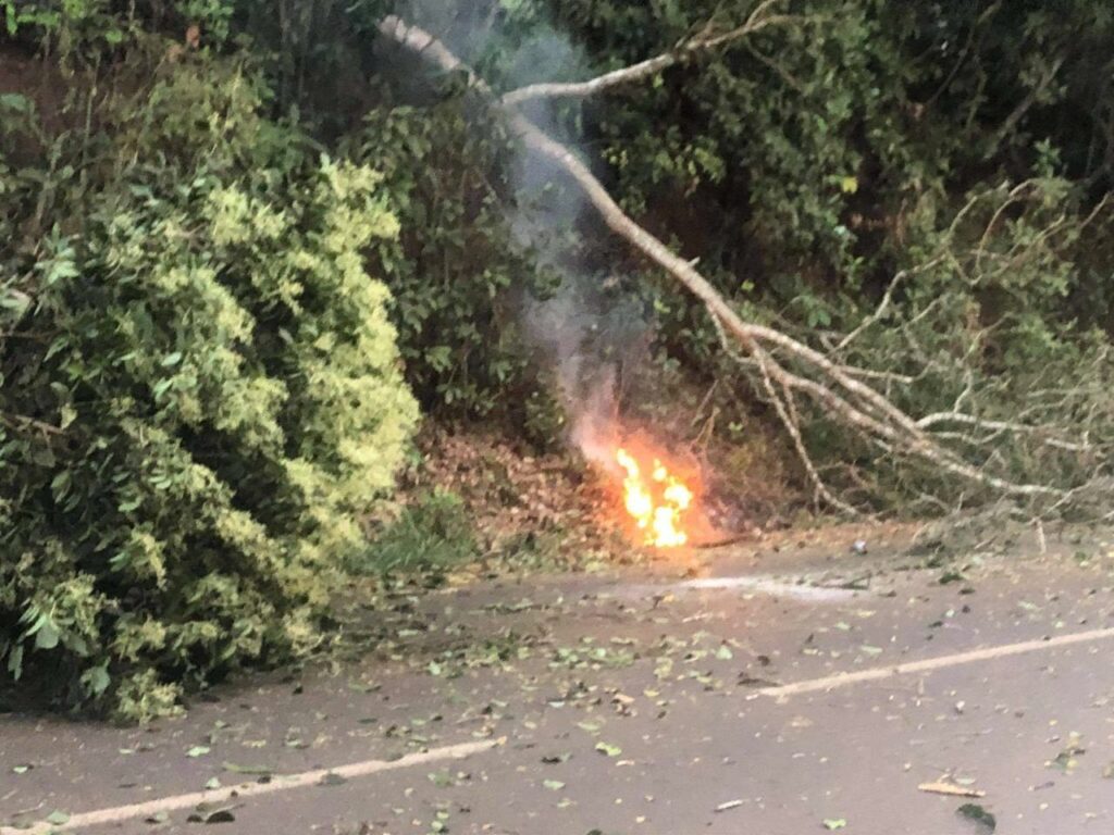 WhatsApp Image 2020 09 04 at 05.41.20