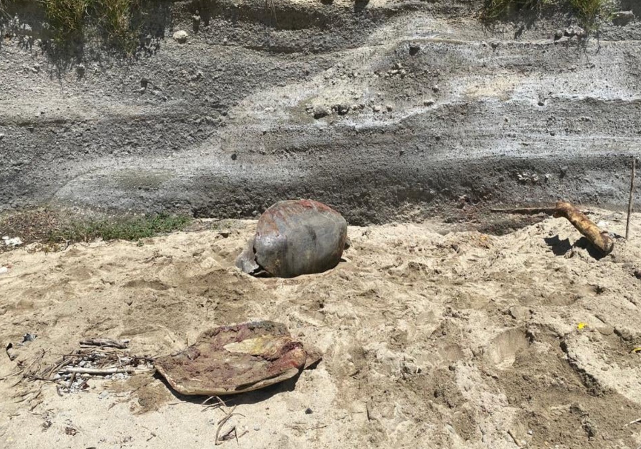 Oulanga na Nyamba aide les forces de l’ordre à condamner un braconnier