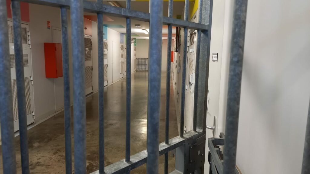 WhatsApp Image 2022 03 12 at 09.39.29 1