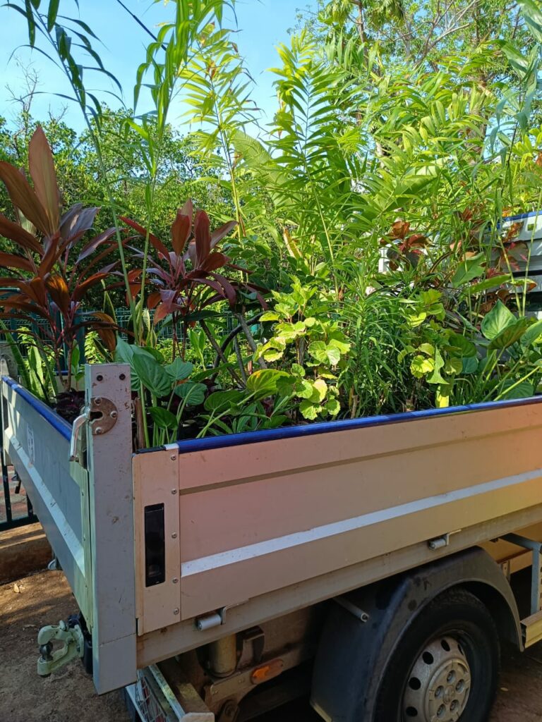 WhatsApp Image 2023 11 03 at 11.17.49 1