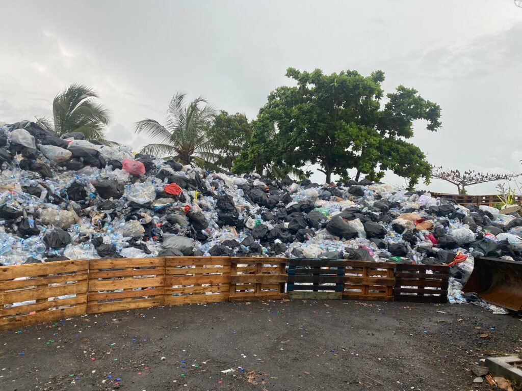 WhatsApp Image 2024 01 04 at 08.03.51