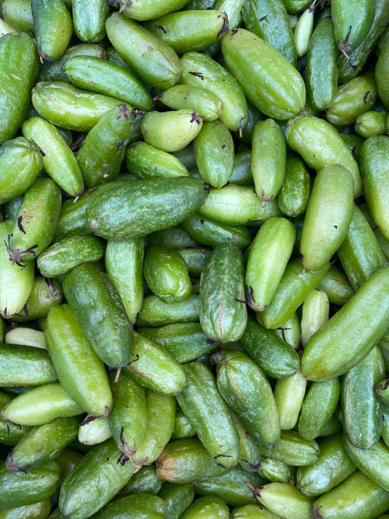 Un grand plan mis en place pour développer l’agriculture mahoraise