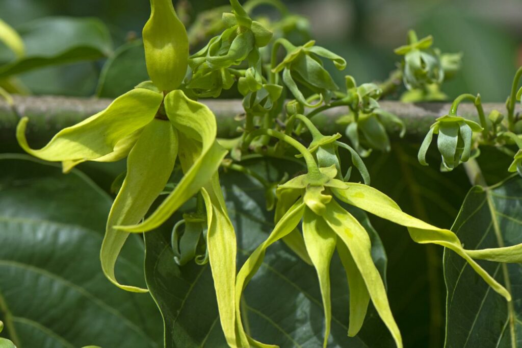 WhatsApp Image 2024 10 16 a 14.25.26 f71c228b