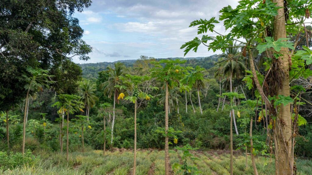 WhatsApp Image 2024 10 22 a 16.49.17 e3b33a0b