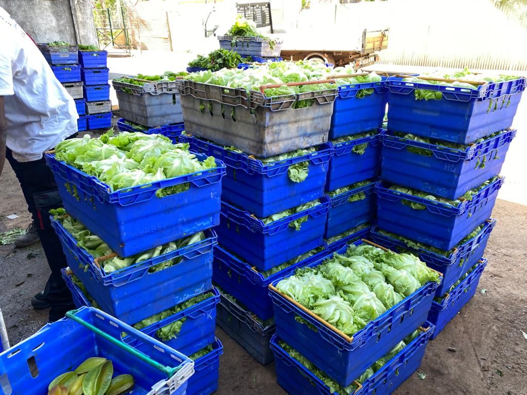 L’EPFAM lance un nouvel appel à projets pour l’attribution d’une parcelle dans la commune de Ouangani