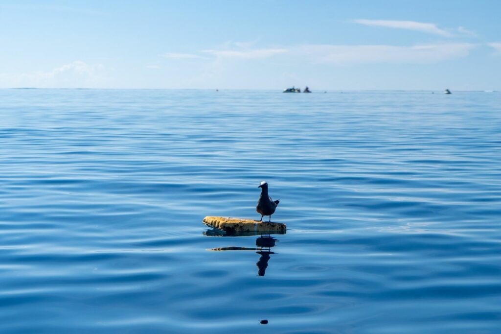 WhatsApp Image 2024 12 02 a 17.03.07 55cd6b17