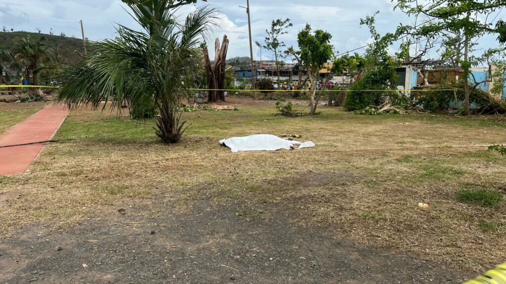 WhatsApp Image 2025 01 11 at 10.36.33 scaled 1