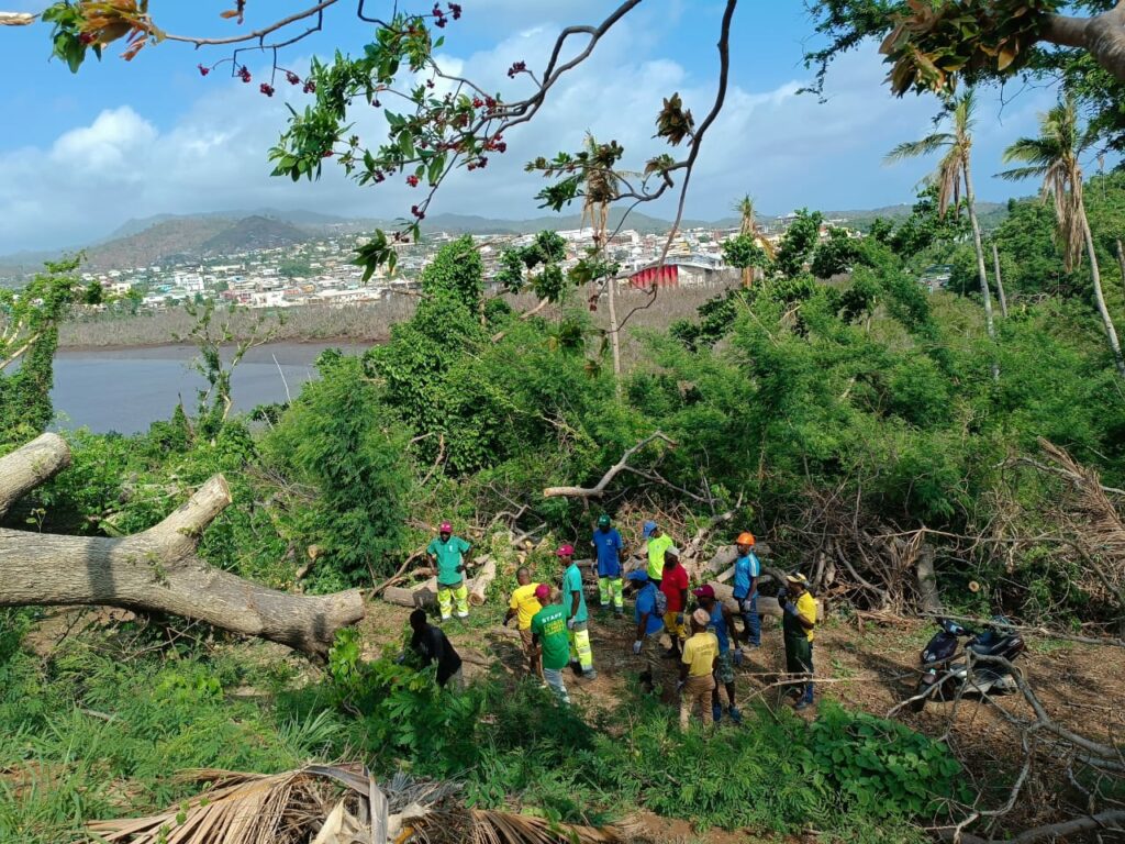 WhatsApp Image 2025 01 27 a 11.06.41 b002c183