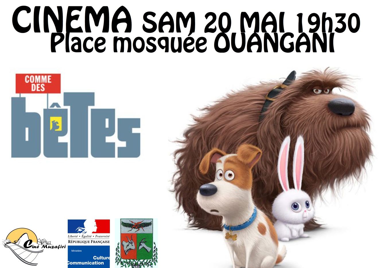 Programme cinéma : “La La Land”, “Comme des bêtes” et “Favelas” à l’affiche !