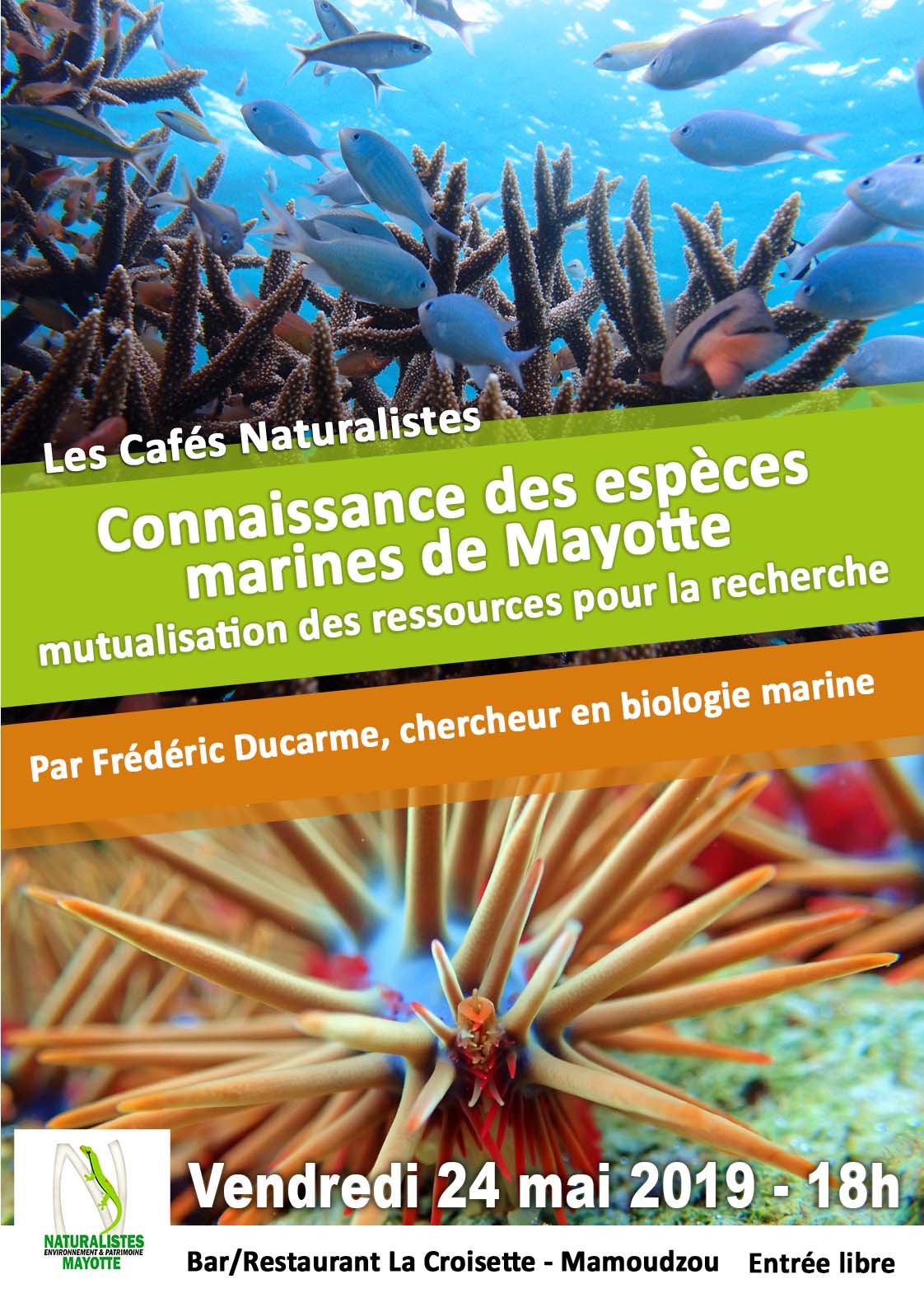 Les Naturaliste de Mayotte organisent leur prochain café sur les espèces marines du lagon